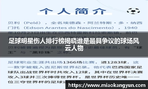 足球明星伤人排行榜揭晓谁是最具争议的球场风云人物